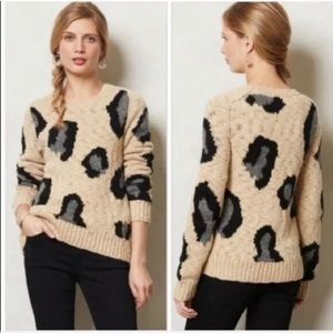 Anthro Sleeping on Snow Leopard Sweater